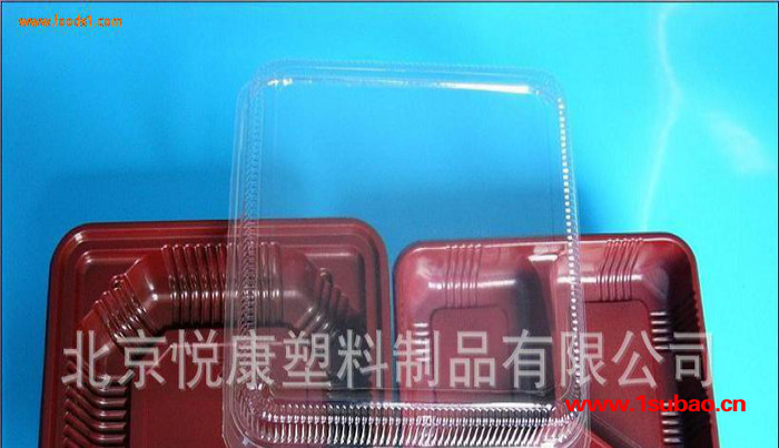 ** 环保塑料一次性快餐盒 方形一次性快餐饭盒