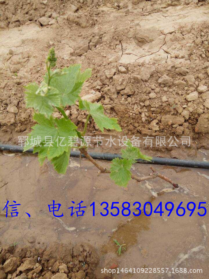 QQ图片20160512173907