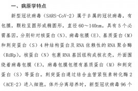 新型冠状病毒肺炎诊疗方案（试行第九版）