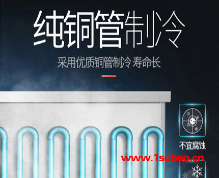 丽浦娜 四门冰箱/商用冷柜/冷冻冰柜（C款直冷+全冷冻）图5