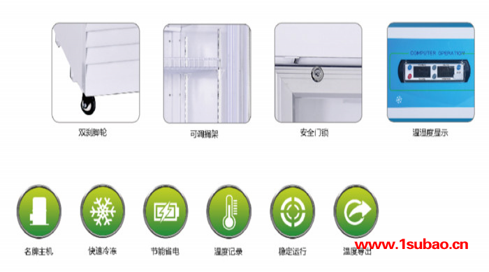雪颂SNOWSONG立式低温冰箱DW-25L419  -25℃ 419L冷冻箱速冻箱低温冰柜工业冰箱图2