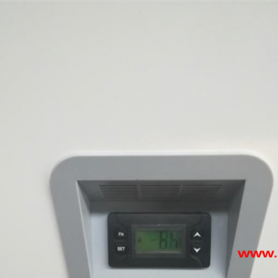 卧式低温冰箱-25℃ 226L 博科BDF-25H226低温冷藏箱