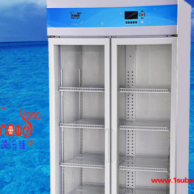 现货大容量1073L药品保存冰箱2～10℃医院用冰箱药品冷藏柜