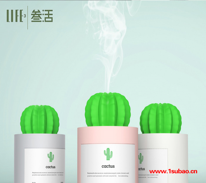 叁活306创意款仙人球加湿器车载迷你加湿器