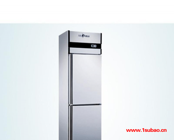 穗凌两门高身速冻雪柜 厨房冰柜单温冷冻冰箱 商用立式不锈钢冰箱