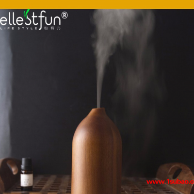 ellestfun/怡特方GH2113木质超声波香薰加湿器价格_100ml负离子加湿器广东厂家批发