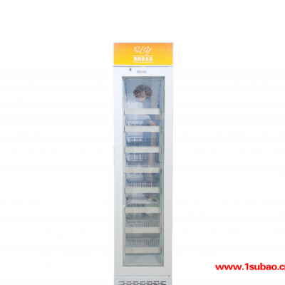 美时达SD105B 商用冰箱 站立式冷冻柜