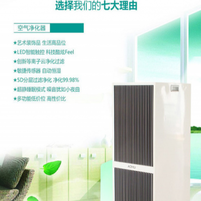 OEM 空气净化器