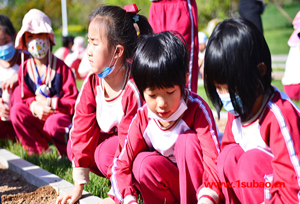 私立幼儿园价格-马鞍山私立幼儿园-合肥康桥|食宿环境好