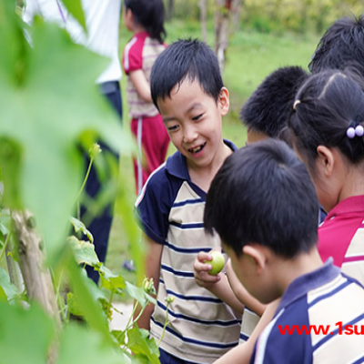 私立幼儿园学费-合肥私立幼儿园-合肥康桥|个性化授课