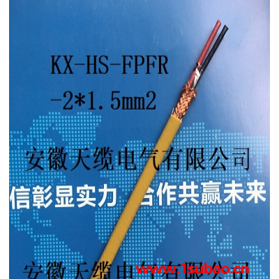 K型补偿屏蔽导线KX-HS-FFRP-2*1.0补偿导线/安徽天缆电气有限公司供应