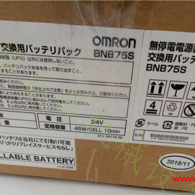 Omron/欧姆龙UPS电源BY50FWBY120S日本