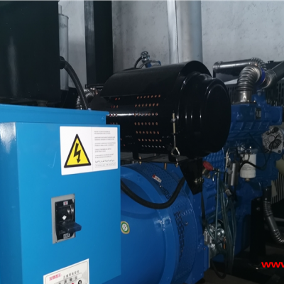 全國銷售 全型號(hào)300千瓦-1000千瓦柴油發(fā)電機(jī)組廠家