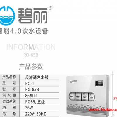 商用开水器有口碑的代理净水器出租RO反渗透纯净水器厨房