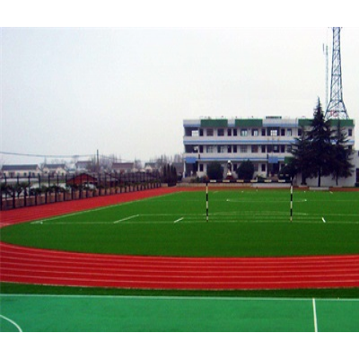 天津塑胶跑道-立新体育设施工程-天津塑胶跑道建设