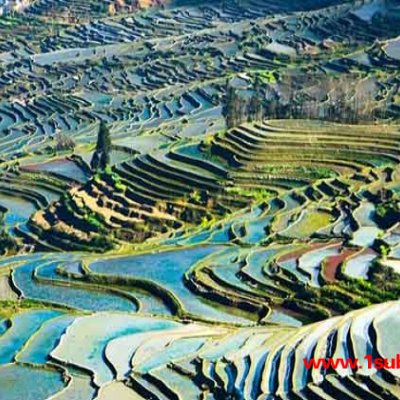 土地整理项目造价软件多少钱-土地整理项目造价软件-凯云科技