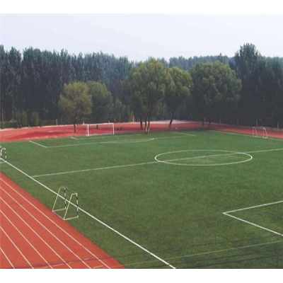武清塑胶球场-天津市立新体育设施-武清塑胶球场厂家