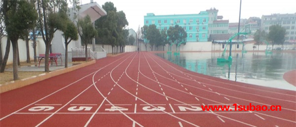天津塑胶跑道-天津市立新体育设施-天津塑胶跑道施工