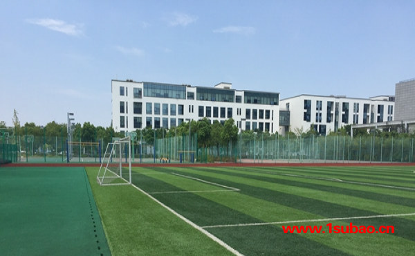 人工足球草坪-足球草坪-华夏体育球场工程(查看)