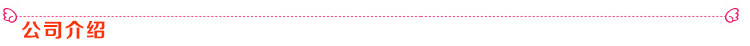 公司介绍