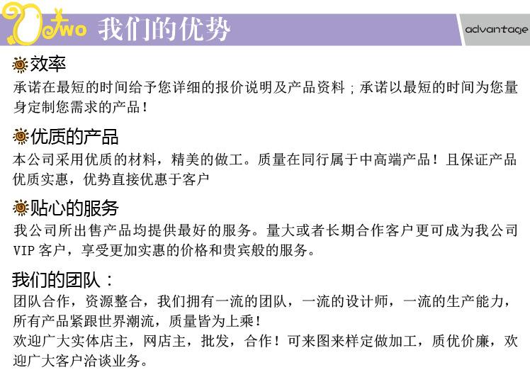 4公司简介