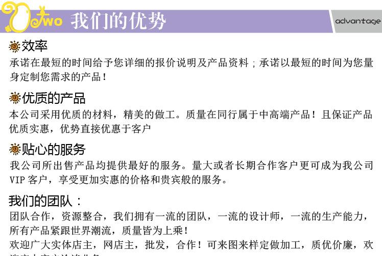 4公司简介