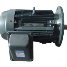 鹽城減速電機FCKK8日本東芝TOSHIBA