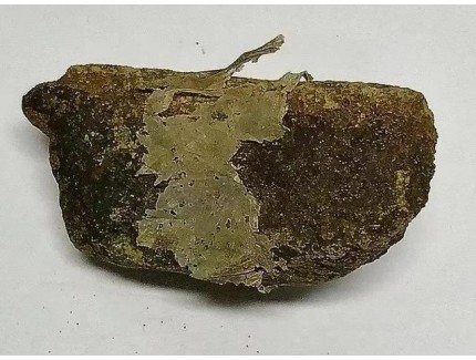 科學家首次發現“塑料巖石”，證實兩者間存在化學鍵