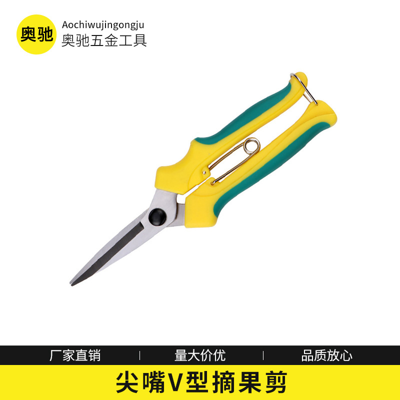 不锈钢尖嘴园林摘果剪 黄绿色长嘴修枝摘果剪刀花园果园打理工具
