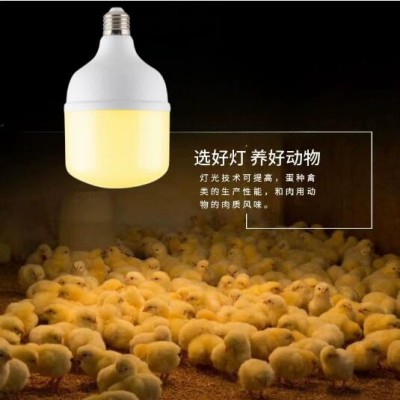led暖黄光节能灯养殖场专用养蛋鸡鸡舍鸡苗补光灯E27螺口防尘防虫