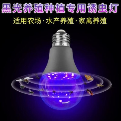 养殖诱蚊虫A19黑色紫光UV太阳能灯泡荧光氛围灯KTV酒吧LED场馆灯