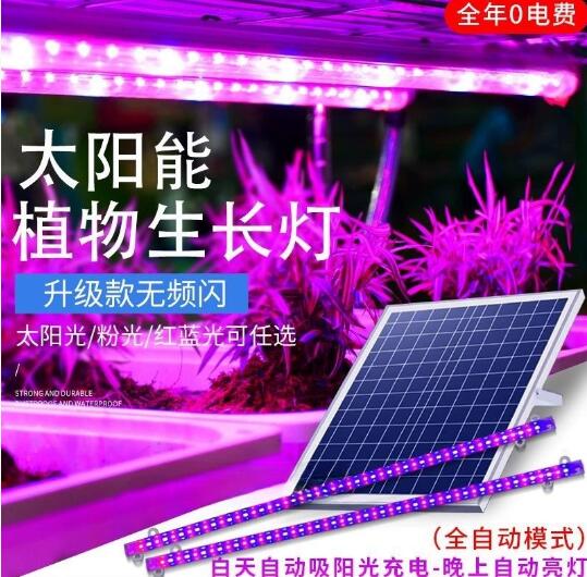 太阳能植物生长灯条上色多肉花卉蔬菜盆栽全光谱补光灯一拖二室内