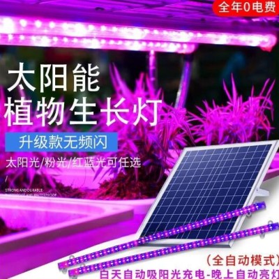 太阳能植物生长灯条上色多肉花卉蔬菜盆栽全光谱补光灯一拖二室内