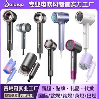 外贸吹风机赛琦雅品牌实力工厂家用发廊吹风机蓝光护发跨境电吹风