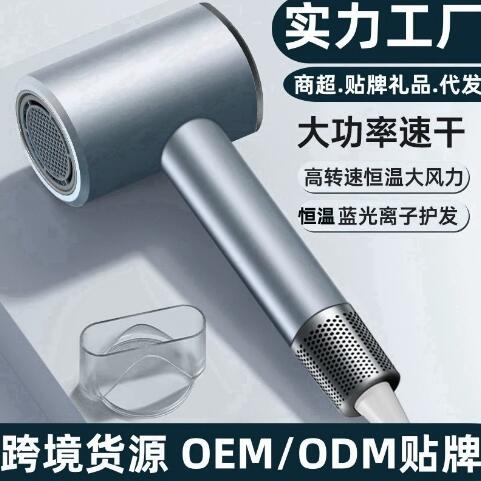 跨境吹风机工厂批发高转速家用蓝光离子不伤发廊吹风机外贸电吹风