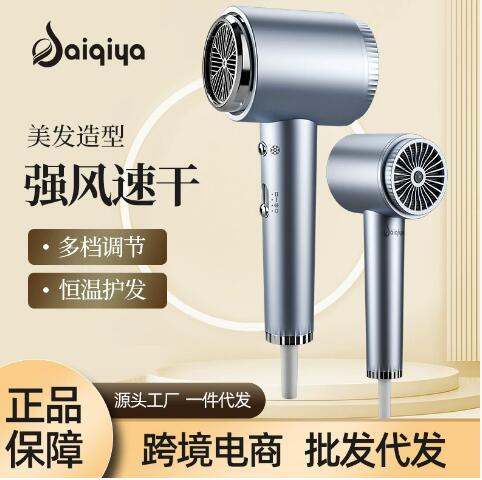 电吹风机跨境源头工厂家用折叠款蓝光离子护发廊大风力酒店吹风机