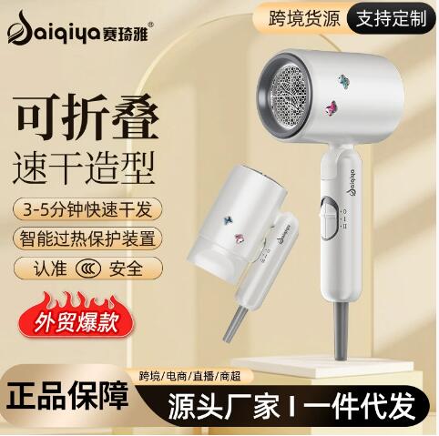 吹风机工厂直销高转速家用大风力可折叠发廊大功率酒店跨境电吹风