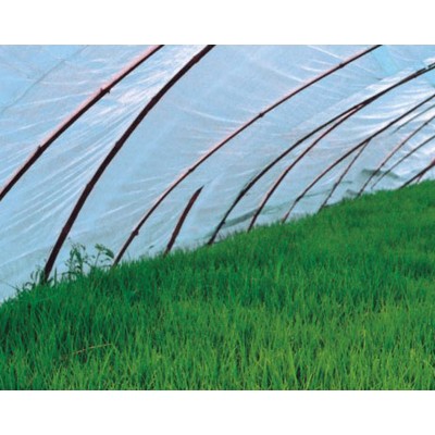 聚氯乙烯水稻育秧膜