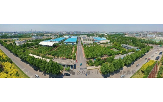 一诺威 “高性能低内生热聚氨酯弹性体开发” 项目获批山东省重点研发计划