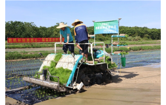 中石化PBST生物降解地膜累计应用面积突破20万亩